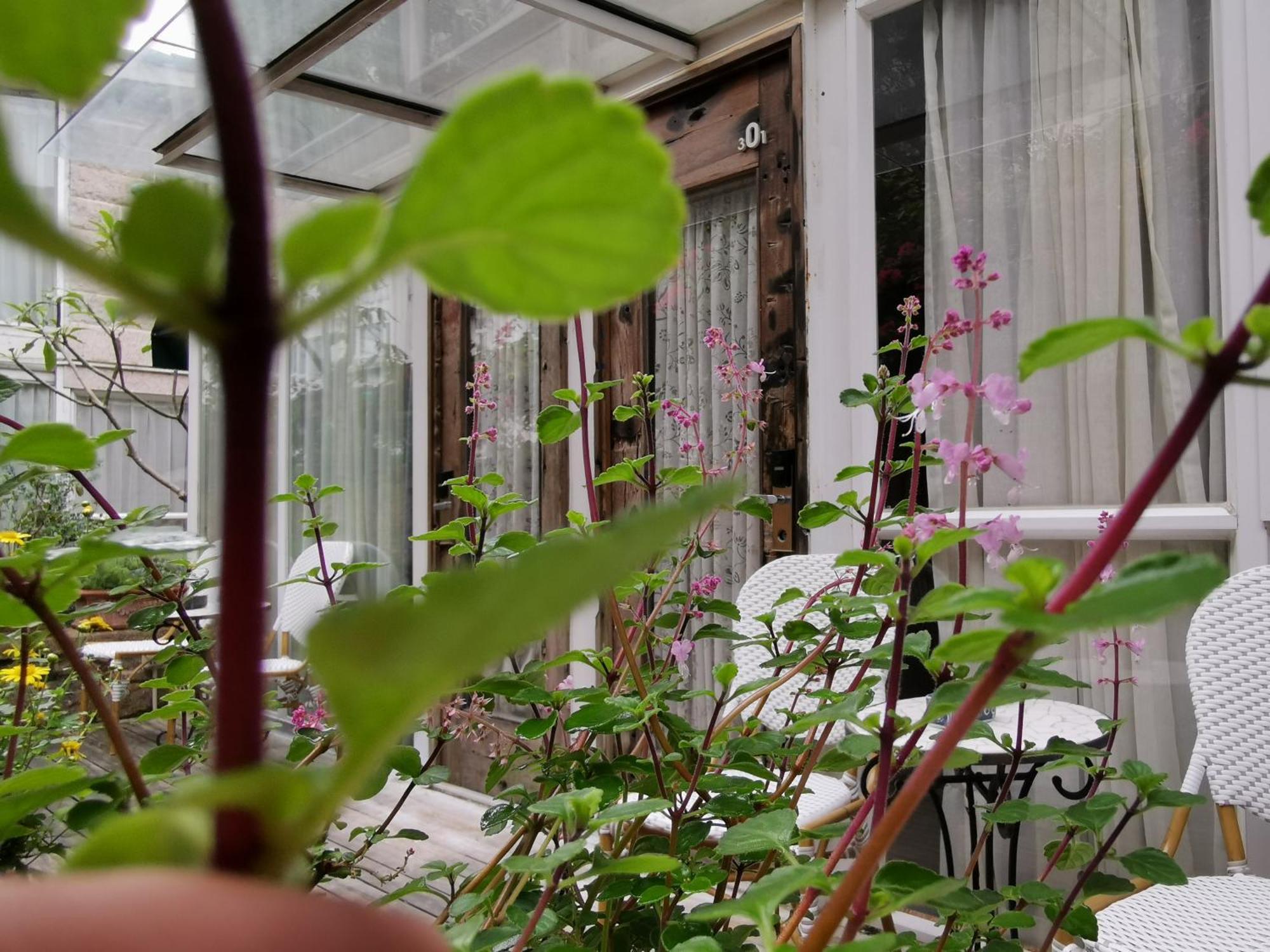 Shenzhen No'6 Garden Villa --French Window With Garden View,Close To Sea World &Shekou Ferry Port &K11 Ecoast &Subway Nearby ,Offer Western Food And Coffee &English Speaking With Tour Services Exterior foto