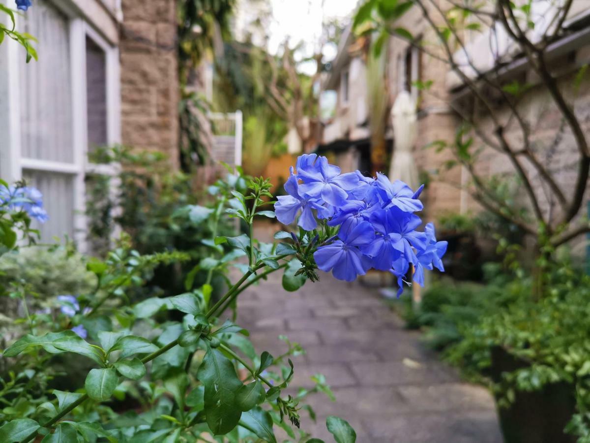 Shenzhen No'6 Garden Villa --French Window With Garden View,Close To Sea World &Shekou Ferry Port &K11 Ecoast &Subway Nearby ,Offer Western Food And Coffee &English Speaking With Tour Services Exterior foto